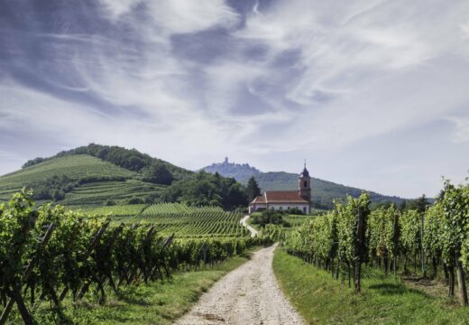 Un&#x20;vent&#x20;de&#x20;libert&#x00E9;&#x20;souffle&#x20;sur&#x20;les&#x20;Vins&#x20;de&#x20;France&#x00A0;