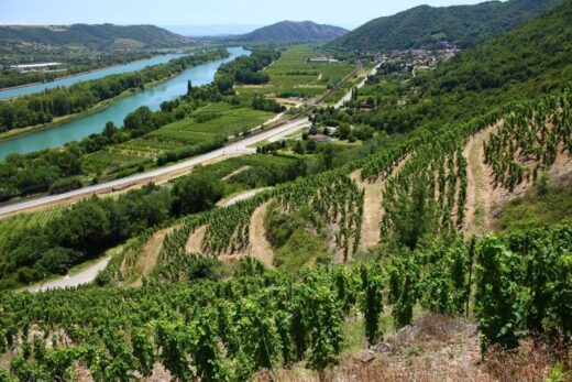 vignoble vallée du rhône